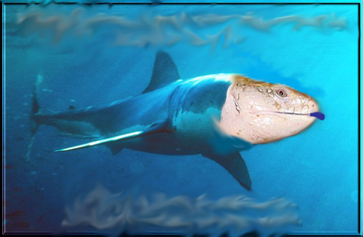 Jawsbts
