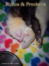 Precious & Rufus Sleeping