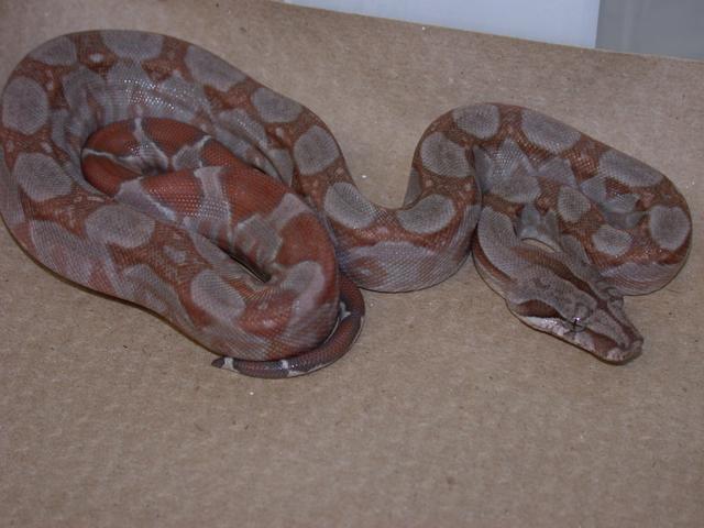 05 T 