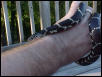 Simon (Seoman Snowlock) on my hand