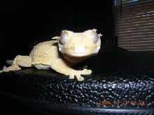 what r u looking at?!