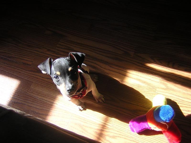 buddy3