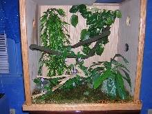 Crested enclosure is COMPLETE
