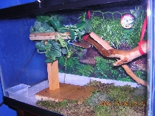 Juvi tank