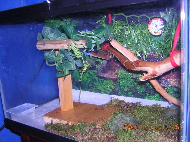 Juvi tank