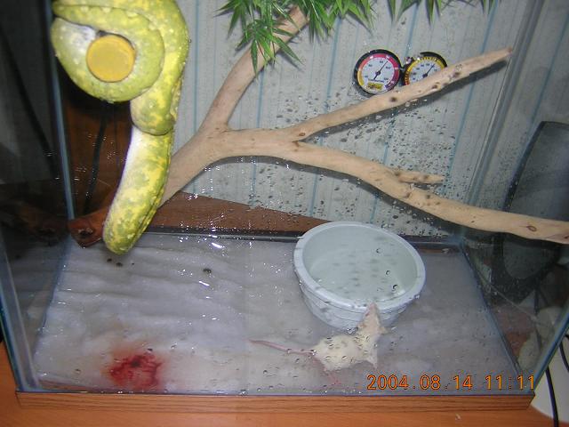 Blood Bath