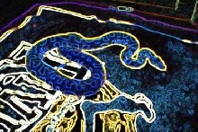 "Neon burm"