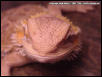 Sandy Smiling