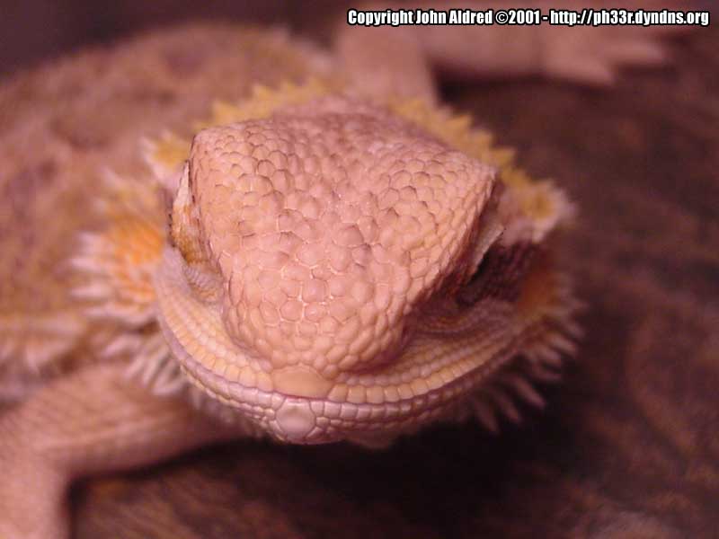 Sandy Smiling