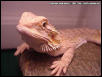Sandy Basking