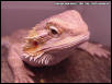 Sandy lookin' mean again!