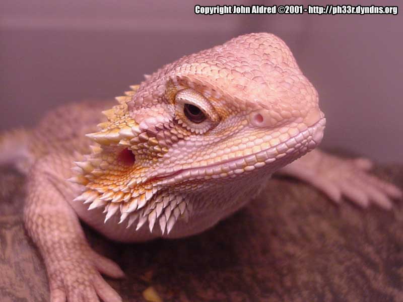 Sandy lookin' mean again!