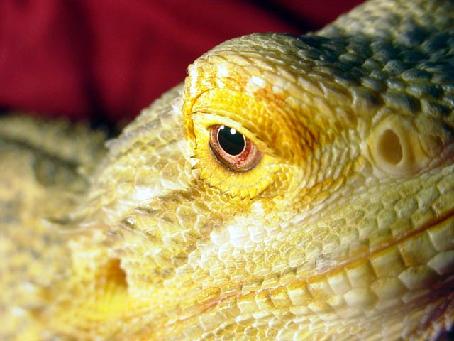 Sandy REAL close-up!