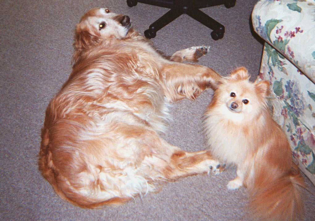 Jake and Flea