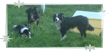 The Brecon Trio