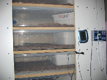 Rack Side (close view)