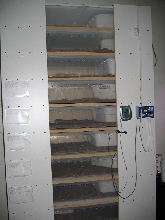 Rack Side (fuller view)