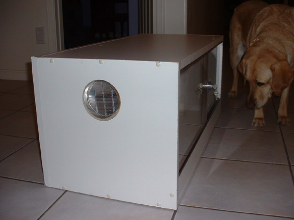 New Cage 2