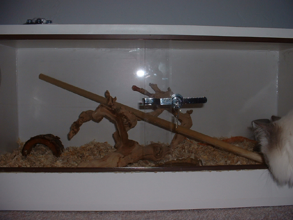 New Cage 4