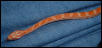 After shed