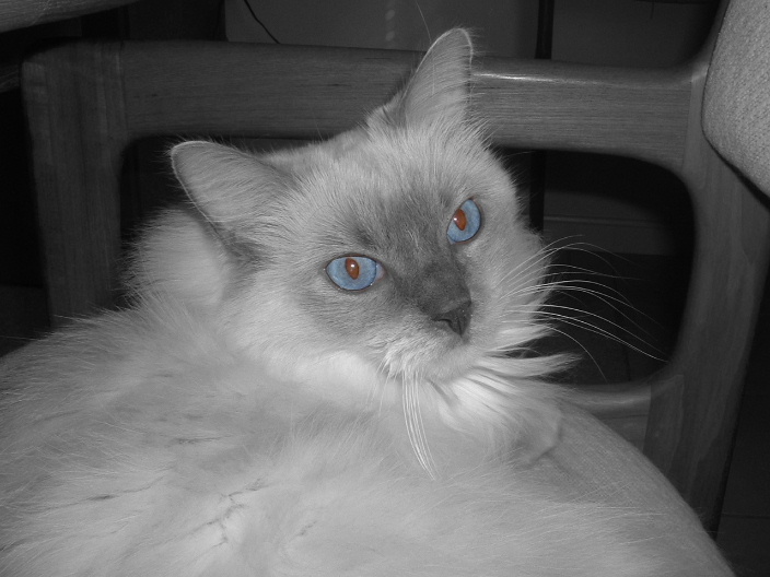 Sapphire