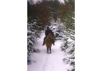 Lily and I in the snow