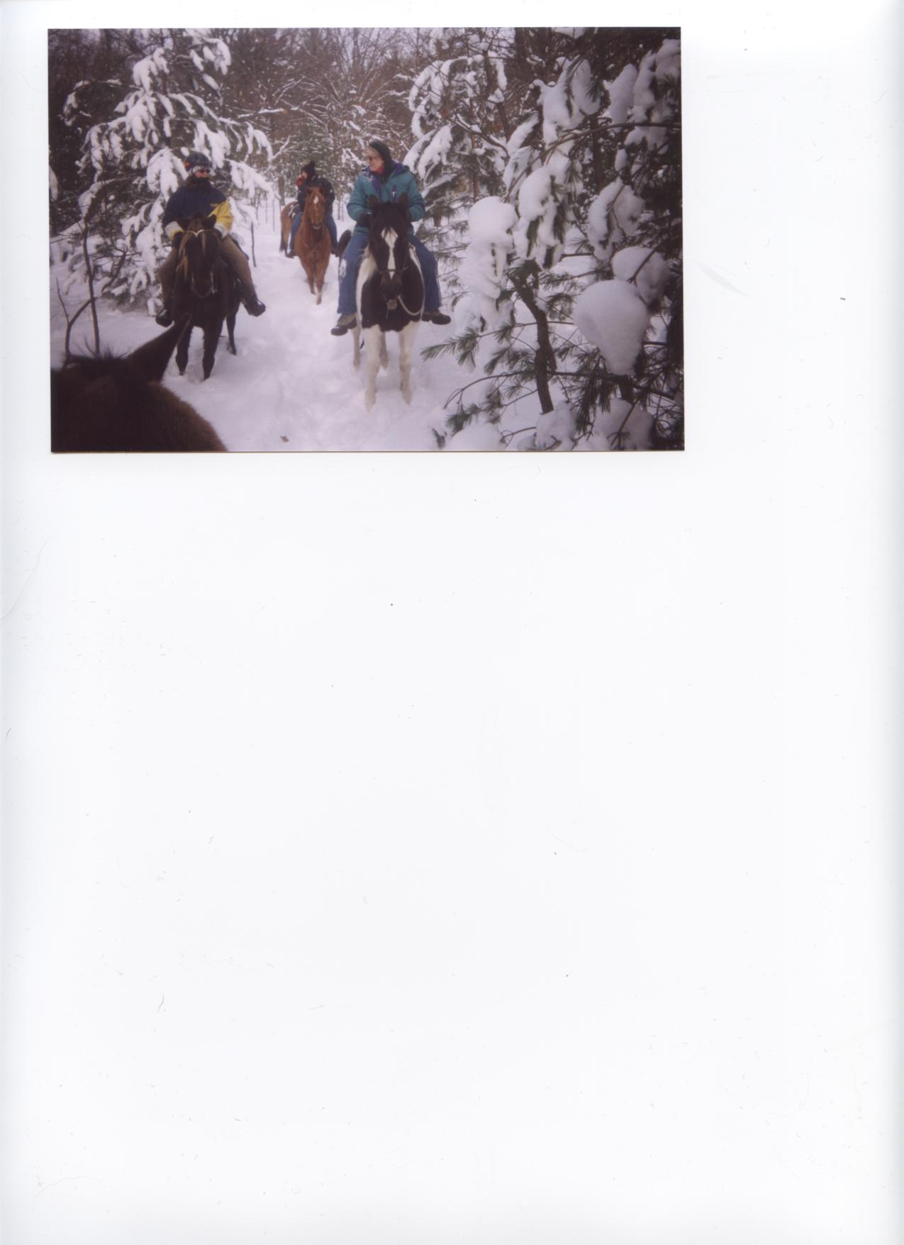 winter wonderland