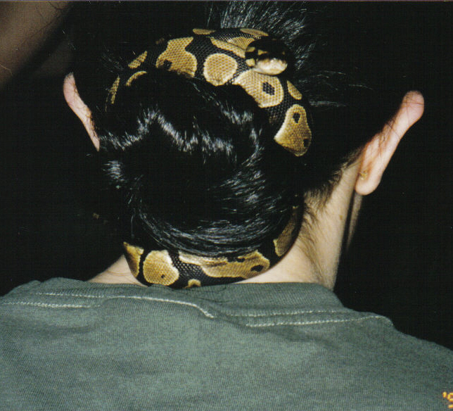 snakebun