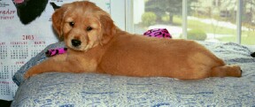 Juliet at 8 weeks