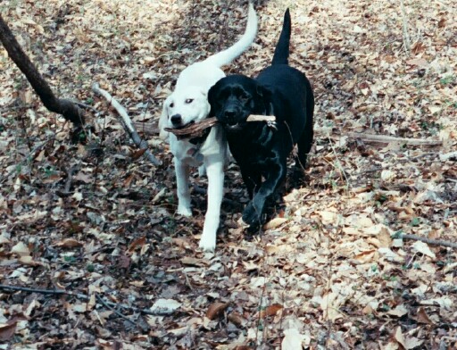 Olympia&Bliss