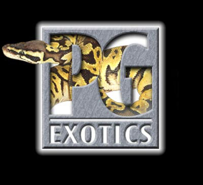 logo idea?