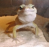 Kinky (her name is Kinky) Smiling