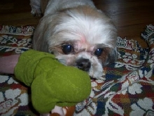 xue, june 07