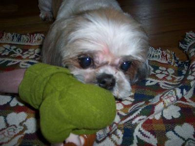 xue, june 07