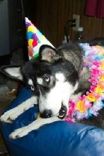 Happy  1st   Birthday