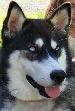 KipCloseUp