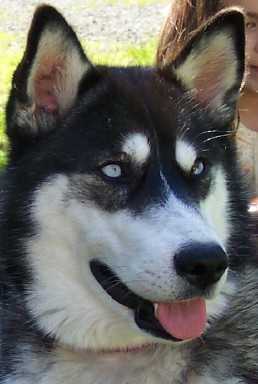KipCloseUp