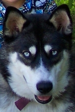 Kip July 2004