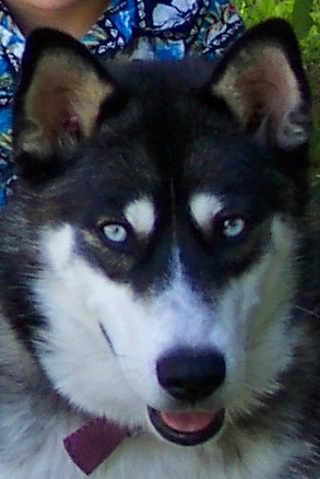 Kip July 2004