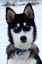 Are my ears too big?