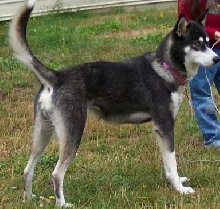 kip 1yr on 8-24-04