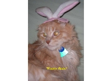 Easter Bobo