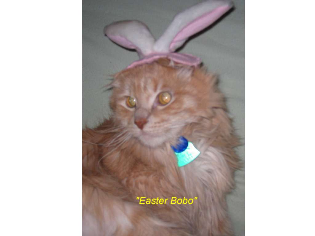 Easter Bobo
