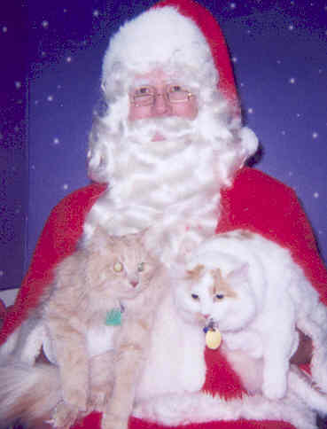 KittyXmas