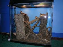new crib