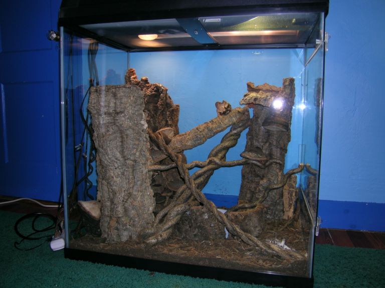 new crib