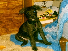 SweetMia