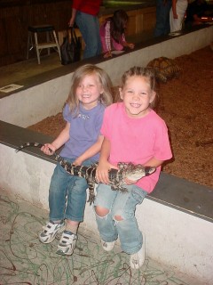 my little girls with an american gator