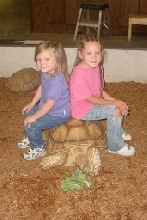 my little girls with a tortoise