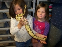 my kids with a bumble bee spider
